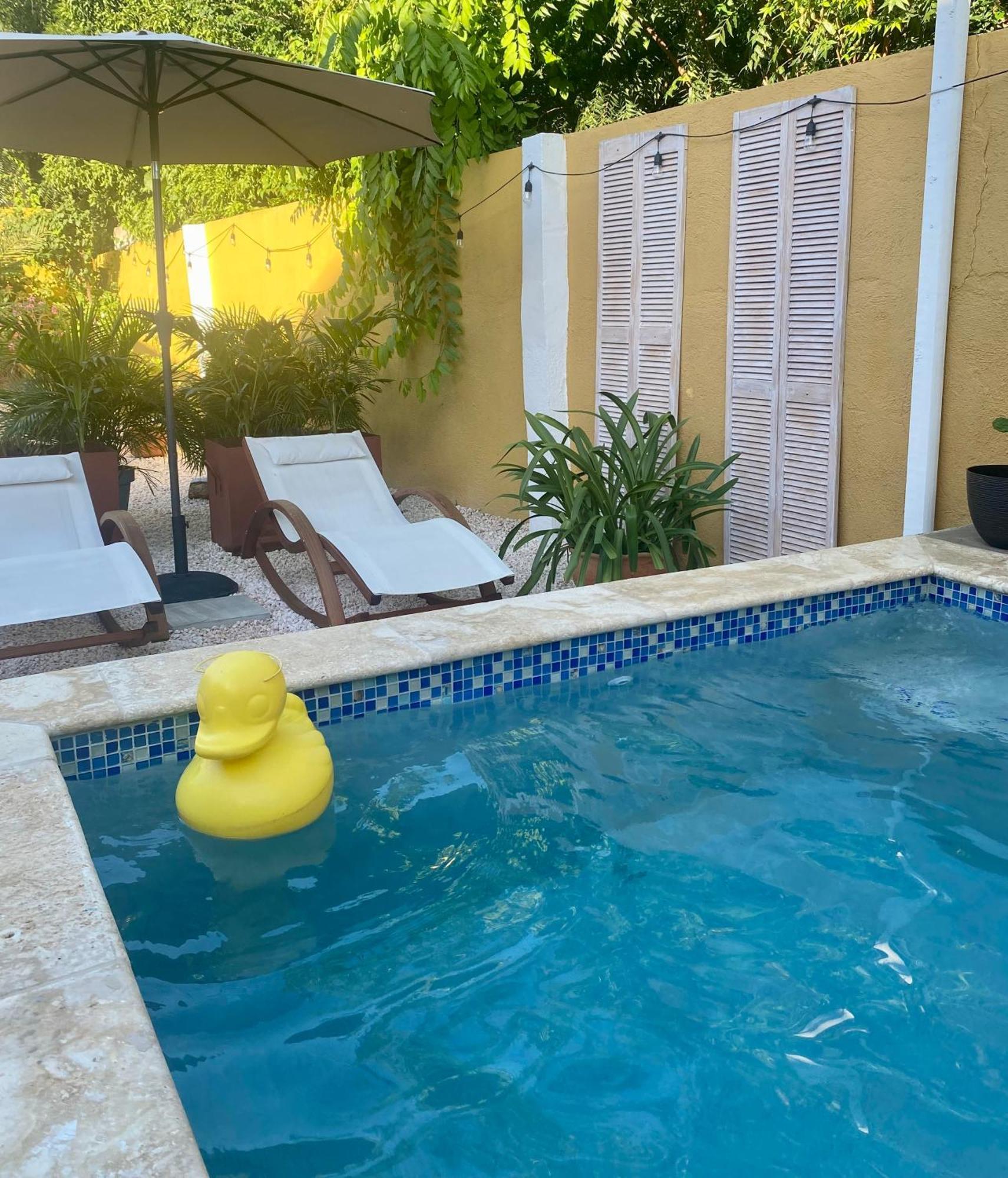 Historic Building The Palm Backyard Studio-Apartment Willemstad, Curacao Feel Home Away From Home Экстерьер фото